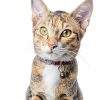 3 Pcs Dog Bells for Pet Tracking Extra Loud Cat Dog Collar Vintage Copper Bells with Quick Clips Anti Lost Training Pets Pendant Accessories Anti Theft Bell for Little Dogs Cats-6