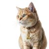 4 Pcs Bells for Dog Collars Cat Bells for Collar Loud Dog Collar Bell with Heavy Duty Snap Clips Pet Bell Collars for Tracking and Training Suitable for Dogs and Cats Pet Pendant Accessories-4