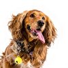 20PCS Pet Bells for Dog Cat Collar, Metal Round Cat Bell Collar with Clasps, Charm Pet Pendant Accessories Christmas Decoration Jingle Bell(Colourful)-4