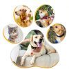 20PCS Pet Bells for Dog Cat Collar, Metal Round Cat Bell Collar with Clasps, Charm Pet Pendant Accessories Christmas Decoration Jingle Bell(Colourful)-3