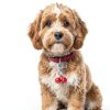 4 Pcs Bells for Dog Collars Cat Bells for Collar Loud Dog Collar Bell with Heavy Duty Snap Clips Pet Bell Collars for Tracking and Training Suitable for Dogs and Cats Pet Pendant Accessories-3