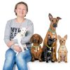 Bremorou Bell For Dog Collar 2 Pack Silver Stainless Steel Charm-6