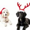 Copper Collar Bells 2Pcs Vintage Brass for Small Pets, Tag Compatible-4