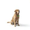 Dog Collar Bell, Loud Cat Bells for Collar, Glowing Pet Tracking Bell with Durable Copper Design, Night Light Reflective for Wildlife Protection-4