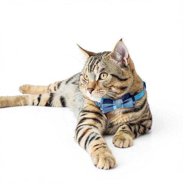 Mini Cat Bandana - Cat Bow Tie Collar with Bell & Bowtie, Breakaway Cat Collars Kitten Bow Tie with Safety Buckle, Adjustable Small Puppy Collar Soft Corduroy Kitten Collars for Girl & Boy Cats-4