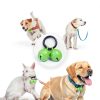 Dog Collar Bell, Loud Cat Bells for Collar, Glowing Pet Tracking Bell with Durable Copper Design, Night Light Reflective for Wildlife Protection-5