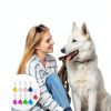 Cat Collar Bell Qulkws 9-Piece Colorful Set with Key Rings-6