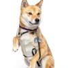 4 Sets Bells for Dog Collars, Cat Bell for Dog Collar Charm Cat Bells for Collar Training Pet Pendant Accessories for Dogs Kitty Puppy Pet-5