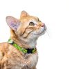 Double Bells for Dog Collar, 4 PCS Stainless Steel Cat Bells Mini Cat Bell Loud Anti-Lost Gold Bell for Cats Collars Gold Pet Pendant Accessories forr Training Dogs-Bell-3