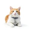2 Pack Bell for Dog Collars, Cat Collar Bells, Pet Training Collar Charm with Heavy Duty Snap Clips, Pet Pendant Accessories, Pets Bell for Dogs and Cats, Christmas Gift (Gold, Silver)-3