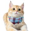 Mini Cat Bandana - Cat Bow Tie Collar with Bell & Bowtie, Breakaway Cat Collars Kitten Bow Tie with Safety Buckle, Adjustable Small Puppy Collar Soft Corduroy Kitten Collars for Girl & Boy Cats-5