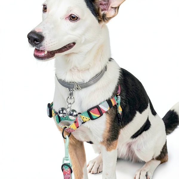 Bremorou Bell For Dog Collar 2 Pack Silver Stainless Steel Charm-5