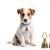 Copper Collar Bells 2Pcs Vintage Brass for Small Pets, Tag Compatible-8