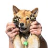 14 Pack Pet Bells for Dog Cat, Charms Colourful Pet Small Bells with Clasps, Round Bell with Loud Crisp Sound, Bell Pets Collar Accessories for Collars Stainless Steel Keychain for Pets-4
