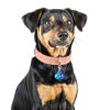 Bell for Dog Collar 10 Pack Copper Bells by Vin Beauty Round Pendant-5