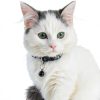 Reflective Cat Collar 6 Pack - Nylon Breakaway with Bell Mixed Colors-6