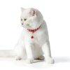 Reflective Cat Collar 6 Pack - Nylon Breakaway with Bell Mixed Colors-4