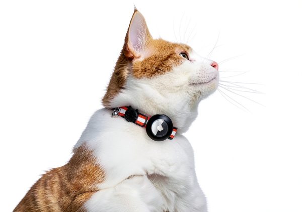 Reflective Cat Collar AirTag Holders Bemix Pets Breakaway Nylon Set 6-2