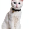 Dog Bells for Pet Tracking 4 Loud Copper Bells with Quick Clips Chyobo-4