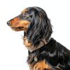 Cat & Dog Collar Bells Beau's Bells QuickLoop Double Bell Medium-3