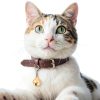 Pet Bell 14pcs Collar Charms by Larrel Small Dog Cat Bell Set Colorful-5