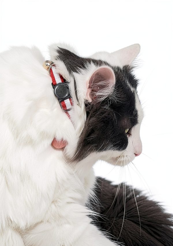 Reflective Cat Collar AirTag Holders Bemix Pets Breakaway Nylon Set 6-4