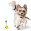 Cat Dog Collar Bells 10pcs Multicolor Metal Set by Bremorou-4