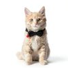 Cat Dog Collar Bells 10pcs Multicolor Metal Set by Bremorou-2