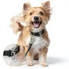 Mini Dog Collar Bells JJUNW 4 Pcs Silver Pet Pendant for Training-5