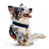 Copper Dog Bells Morn Light Glossy Bronze Quick‑Release Collar-4