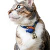 Dog Bells for Pet Tracking 4 Loud Copper Bells with Quick Clips Chyobo-6